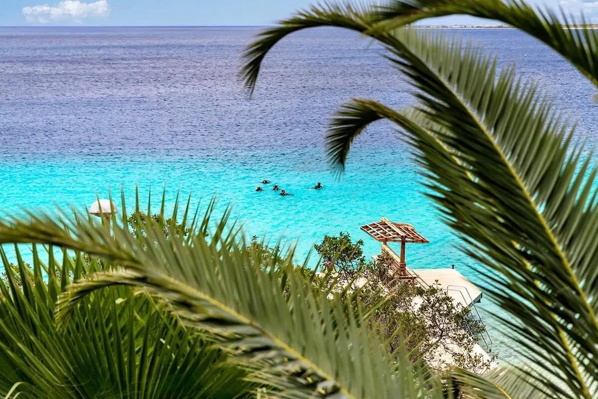 Chachacha Beach Condo Kralendijk  Kralendijk (Bonaire)